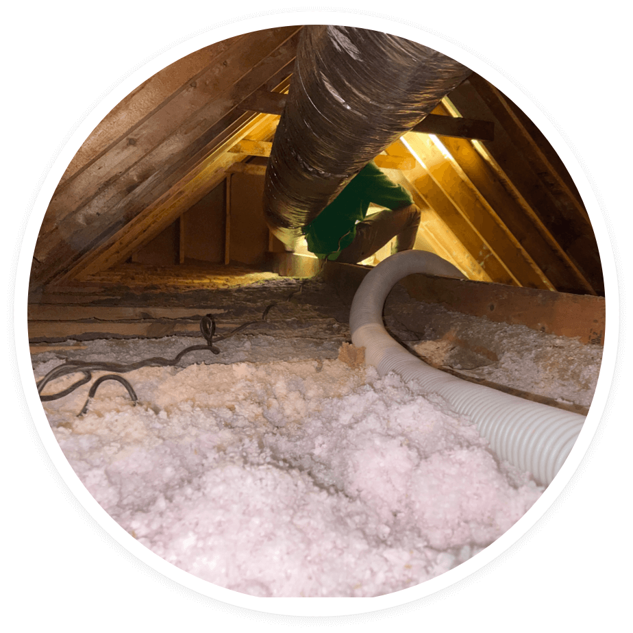 blown in attic insulation daffy ducts